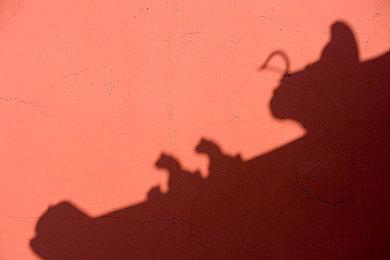 Bioware总经理Gary：龙腾4含选择导向的单机体验